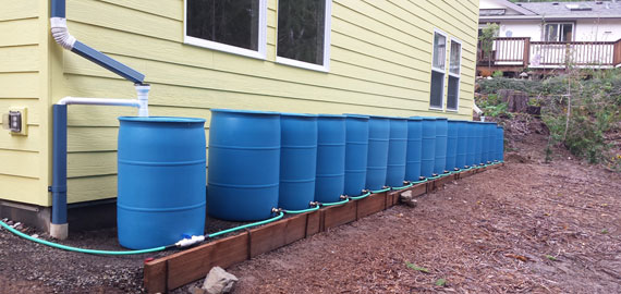 Blue Rain Barrels Connected in Series