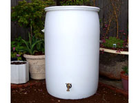 Basic Rain Barrel for Sale
