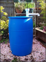 Blue Rain Barrel