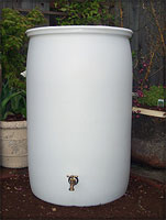 Rain Barrel in the Garden