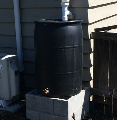 Rain Barrel for Sale