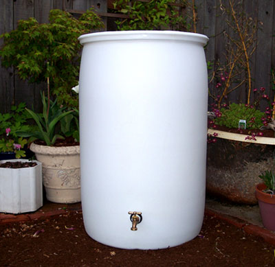 Rain Barrel for Sale